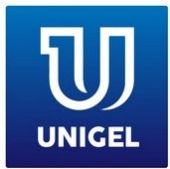 Unigel Group plc logo